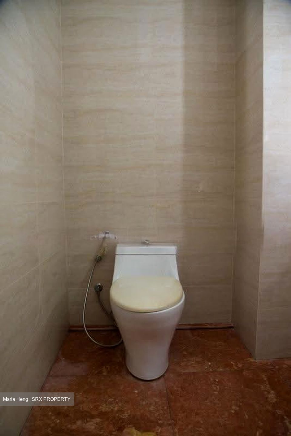 Braddell Road (D13), Semi-Detached #617725771